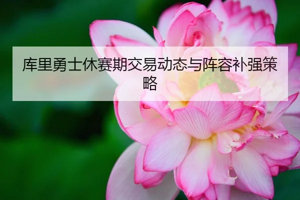 库里勇士休赛期交易动态与阵容补强策略