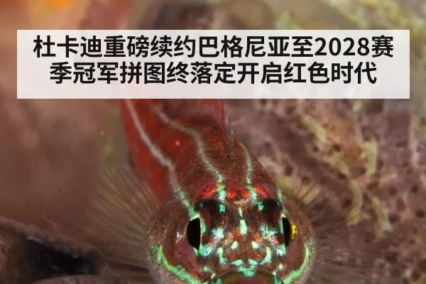 杜卡迪重磅续约巴格尼亚至2028赛季冠军拼图终落定开启红色时代