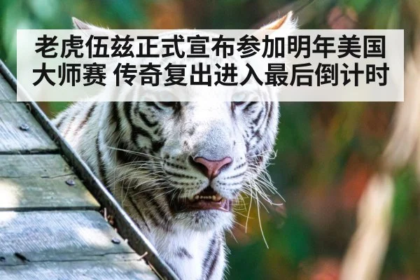 老虎伍兹正式宣布参加明年美国大师赛 传奇复出进入最后倒计时