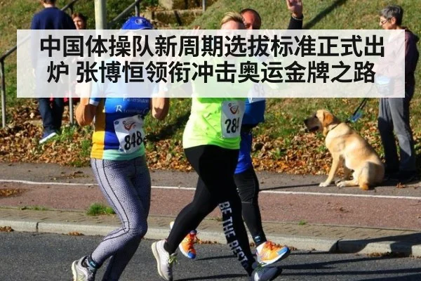 中国体操队新周期选拔标准正式出炉 张博恒领衔冲击奥运金牌之路